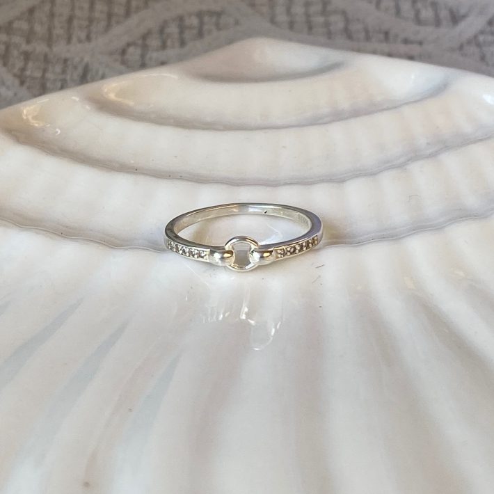 ANILLO CIRCULO Y MICROCIRCONES